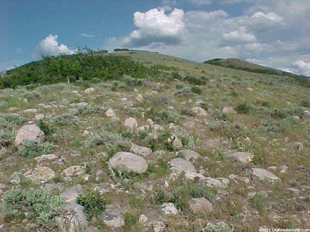 29 N Moose Horn Rd #29, Echo, UT 84024 — photo 2