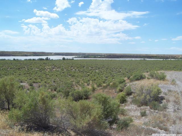 Delta, UT 84624 — photo 7