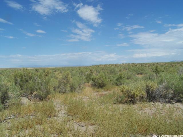 Delta, UT 84624 — photo 9