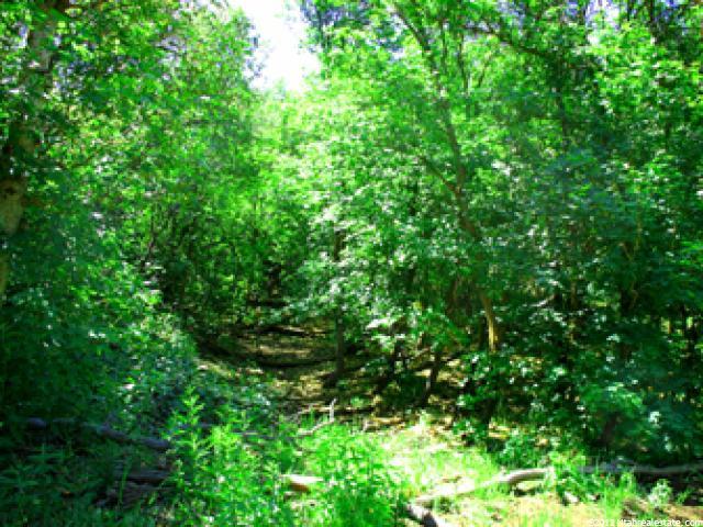 22945 N 13625 E #106, Fairview, UT 84629 — photo 11