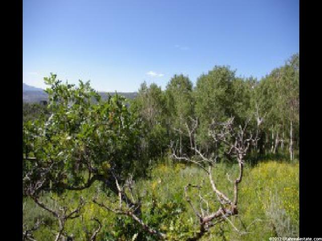 22945 N 13625 E #106, Fairview, UT 84629 — photo 7