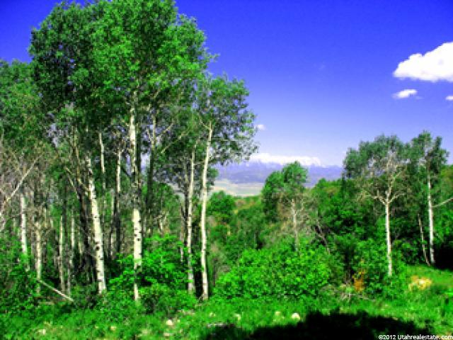 22945 N 13625 E #106, Fairview, UT 84629 — photo 9