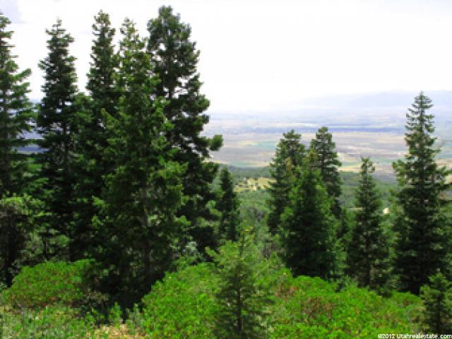 22945 N 13625 E #106, Fairview, UT 84629 — photo 10