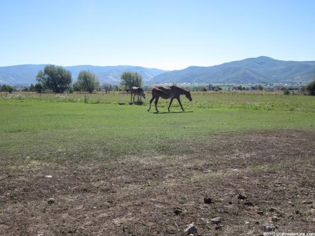 245 E 200 S, Midway, UT 84049 — photo 3