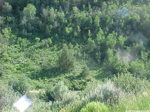 158 Dugway Rd #158, Echo, UT 84024 — photo 2