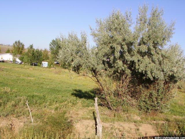 #22, Roosevelt, UT 84066 — photo 6